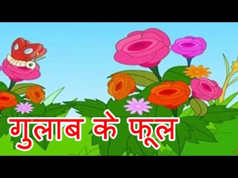 Gulab Ka Phool - Hindi Poems for Nursery - YouTube