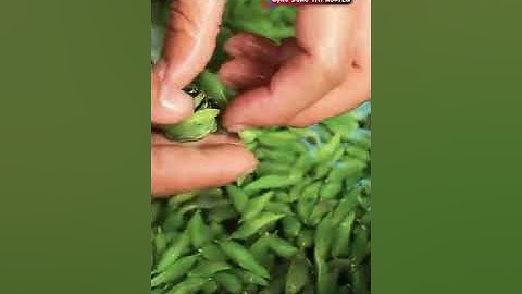 ĐỘC ĐÁO ĐẶC SẢN TÂY NGUYÊN - TÔM RỪNG #shorts