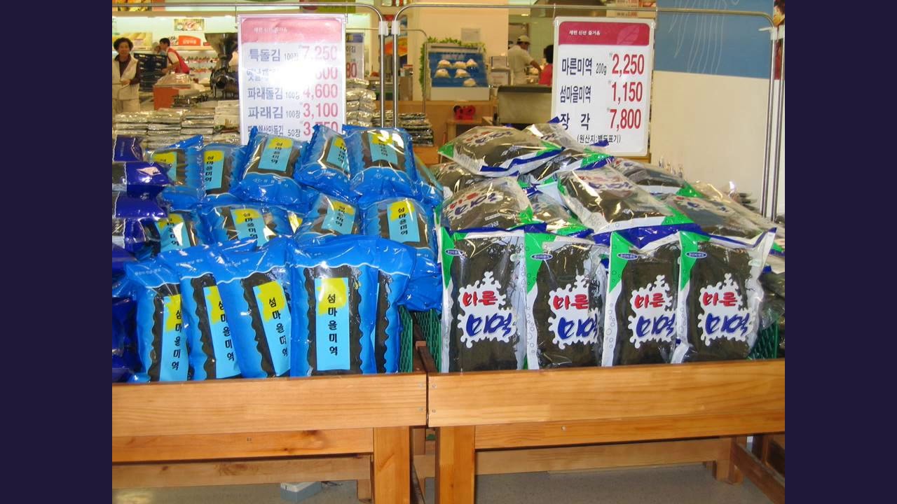 Gracilaria Cultivation