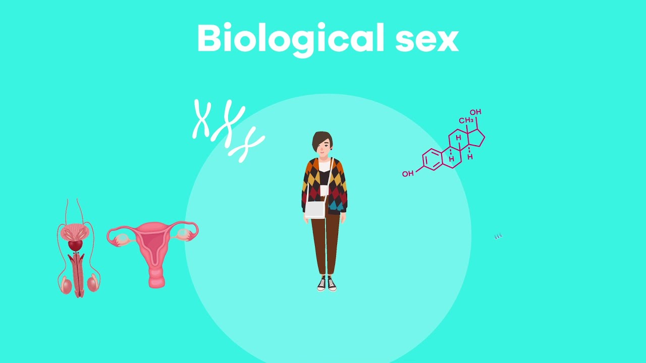 What are Gender Roles and Stereotypes? YouTube