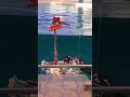 #japan #yokohama #日本 #横浜 #八景島シーパラダイス #seaparadise #水族館 #aquarium #japan #ペンギン#penguin