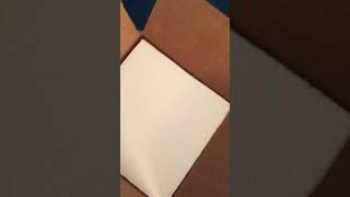 Famous Axanthic Superconda Hognose Unboxing Profile