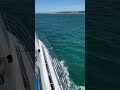 Cruising with Moonraker Dolphin Swims at Sorrento