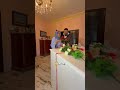 ما اتوقع امي رح تيجيها هدية احلى من هيك 