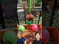 Giải cứu chú gà hồng #shortvideo #trending #funny #youtubeshorts #shorts
