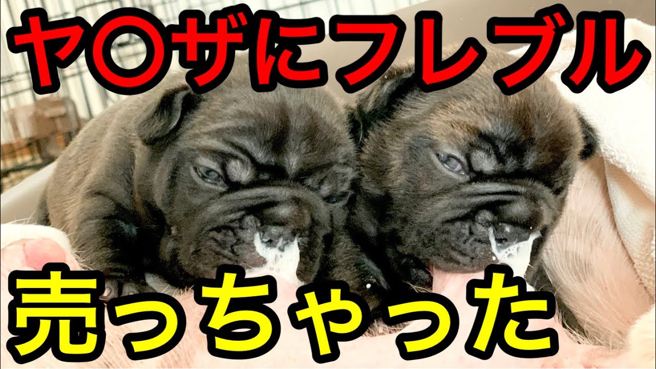 ヤバい…】反社の極悪一家にフレブルを販売してしまったかもしれません