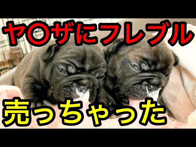 ヤバい…】反社の極悪一家にフレブルを販売してしまったかもしれません