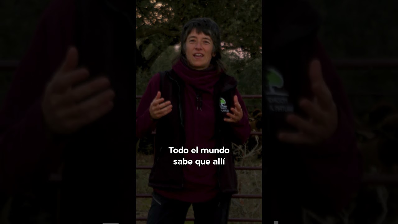 Redileo con perro carea: volver al origen para cuidar el futuro #redileo #perrocarea