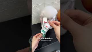 Top 5 Essential Pet Care Tips Every Owner Should Know