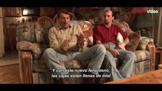 Películas |  Vanishing of the Bees