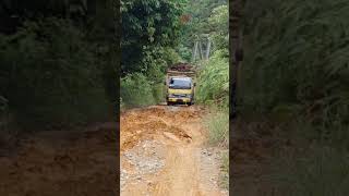 mobil lansir buah sawit lewati jalan bukit dan rusak lagi