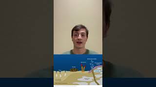 Methane Seeps - 15 Second Science OCNG 251