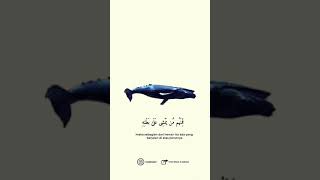 ▶️ Q.S An-Nur 45 || Voice by Salman Al-utaybi || @harjihnaly