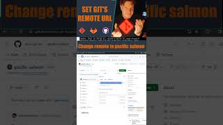 Change the Remote Git URL with Set Remote Origin