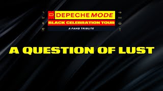 Depeche Mode | A QUESTION OF LUST, from the &quot;Black Celebration Tour - A fans tribute&quot;