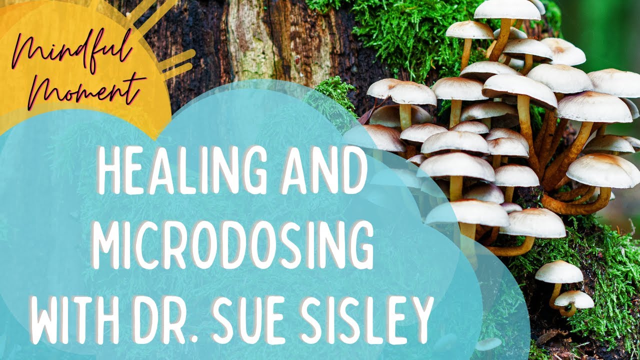 Healing and Microdosing with Dr. Sue Sisley I Mindful Moment 