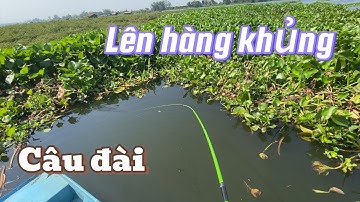 Câu đài tự nhiên dính hàng khủng, ở Búng Bình Thiên