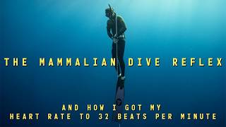 Why Caffeine Hurts Your Freediving: The Mammalian Dive Reflex Explained