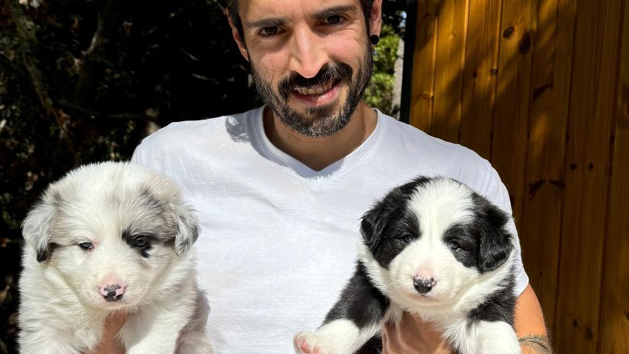 Our Dog Had Puppies! Meet Bambi & Duke 🐶 | From Pregnancy to Birth