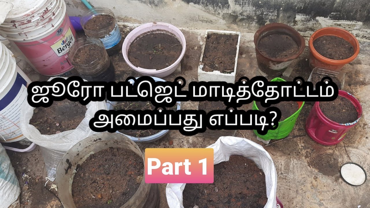 How to start Terrace Garden? | step by step guide for beginners | maadi ...