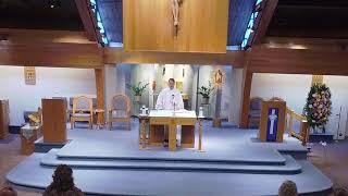 8:30am Mass | 7/15/26
