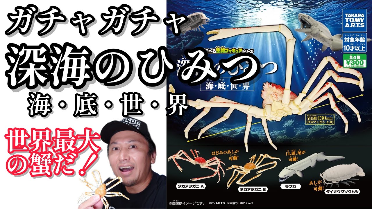 ガチャガチャ】深海のひみつ海底世界【コスパ最強】開封&レビューし
