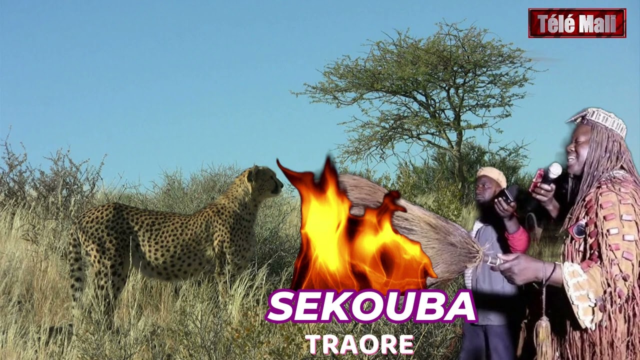 Sekouba Traore (Gaoussou Konate)