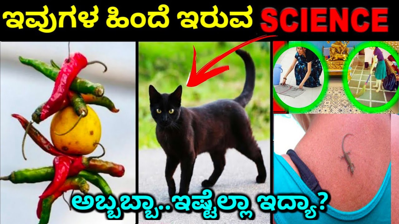 Interesting Amazing Facts In Kannada Scientific Reasons Behind Indian