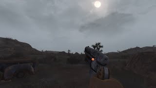 Fnv Clean Animations That Gun Teaser