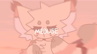 Meduse - Animation meme
