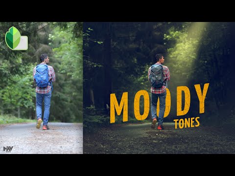 Create MOODY TONES with DRAMATIC Background in Snapseed App | Android | iOS