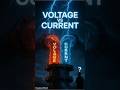 Voltage vs Current - Shocking Truth!⚡#shorts