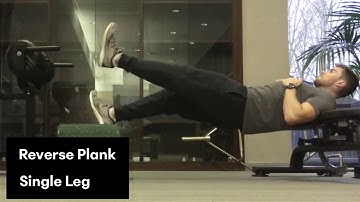Reverse Plank - Single Leg