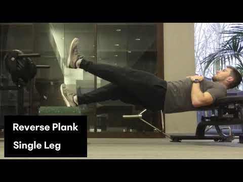 Reverse Plank - Single Leg