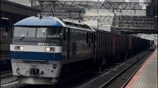 5064レ EF210-101号機【岡】+コキ24B 京都駅通過シーン #ef210旧塗装 #コキ #京都駅 #通過シーン #貨物列車