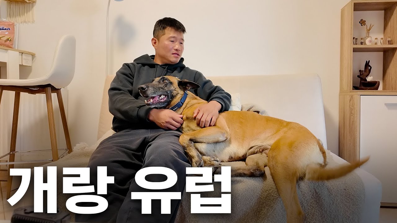 강형욱의 보듬TV