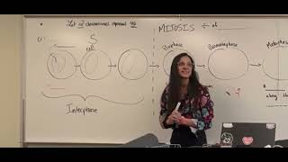 LIFE 102 Mitosis Lab Overview | Part 1 of 2