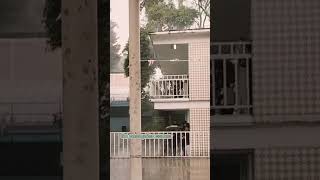 Primaria emperador Cuitlahuac tarde lluviosa en primavera #emperadorcuitlahuac