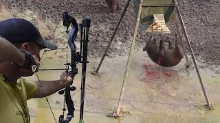 Hunting wild boar with an arrow, exciting scenes 😱🔥👍👌 Part 3