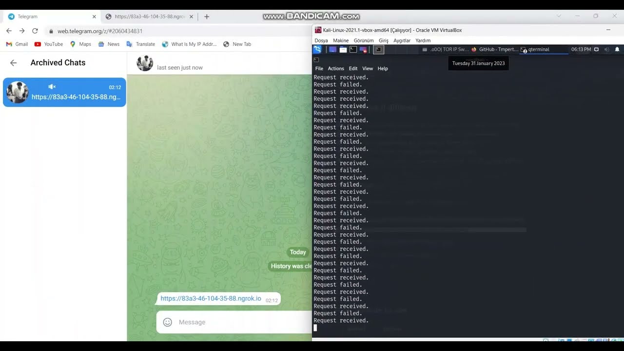Raven St0rm ddos test