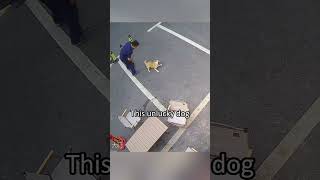 GO AND CHECK THE ORGINAL SCREEN#this is not at all funny but the guy who posted feel this as a joke