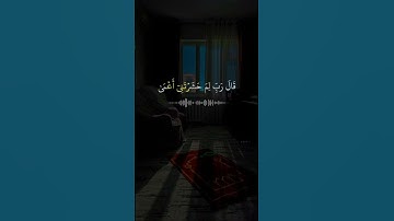 تلاوه الشيخ ياسر الدوسري #سورة_طه #ياسر_الدوسري #اكسبلور #راحة_نفسية #لايك