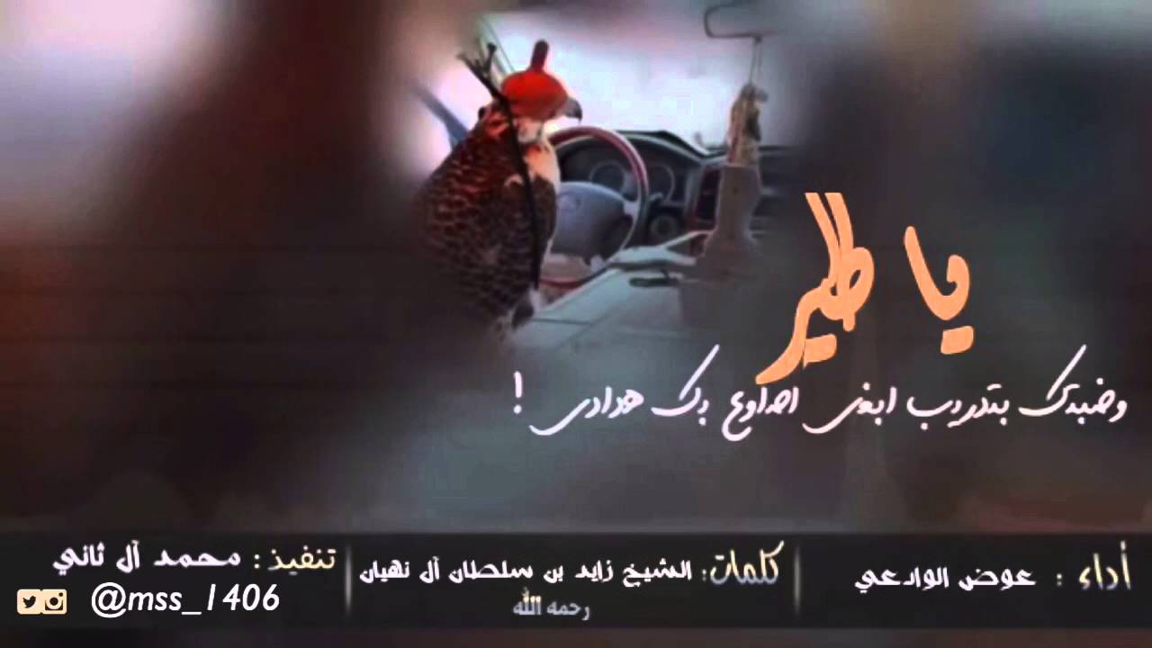 شيلة يا طير وضبتك بتدريب أداء عوض الوادعي الحان خالد عبدالرحمن أصلي مسرع 2016 Youtube