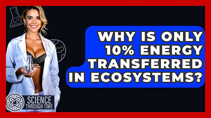 Why Is Only 10% Energy Transferred In Ecosystems? - Science Through Time