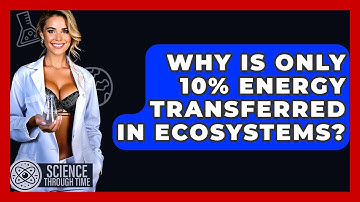 Why Is Only 10% Energy Transferred In Ecosystems? - Science Through Time