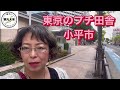 東京都小平市【昔ながらの赤ポスト】