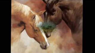 Greatest Film Themes - For A Few Dollars More (Ennio Morricone) - Tribute to Horses