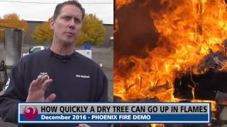 Christmas Tree Burn Demonstration | News Feed