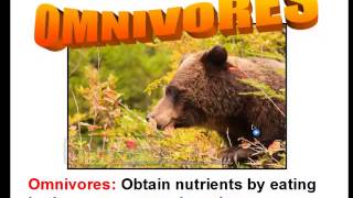 How Living Things Obtain Energy (Consumers and Producers) How Living Things Obtain Energy (Consumers and Producers)