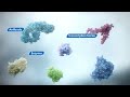 AI in Drug Discovery: How Amgen Uses AI to Design Proteins